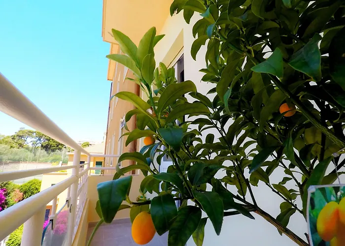 Pensjonat Colibri Prestige - Ruins View 4*